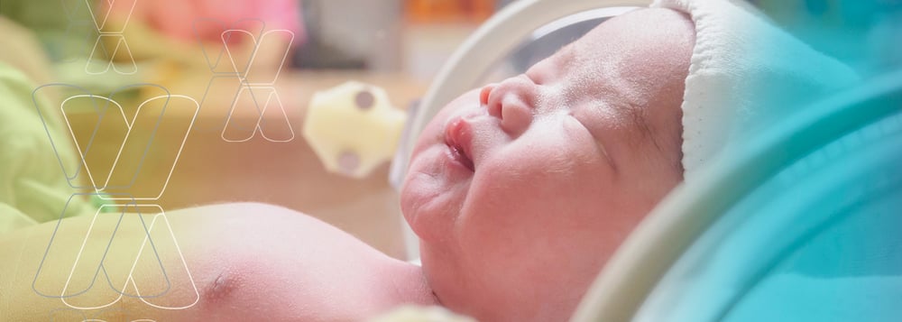 Leex - Incubadoras neonatales