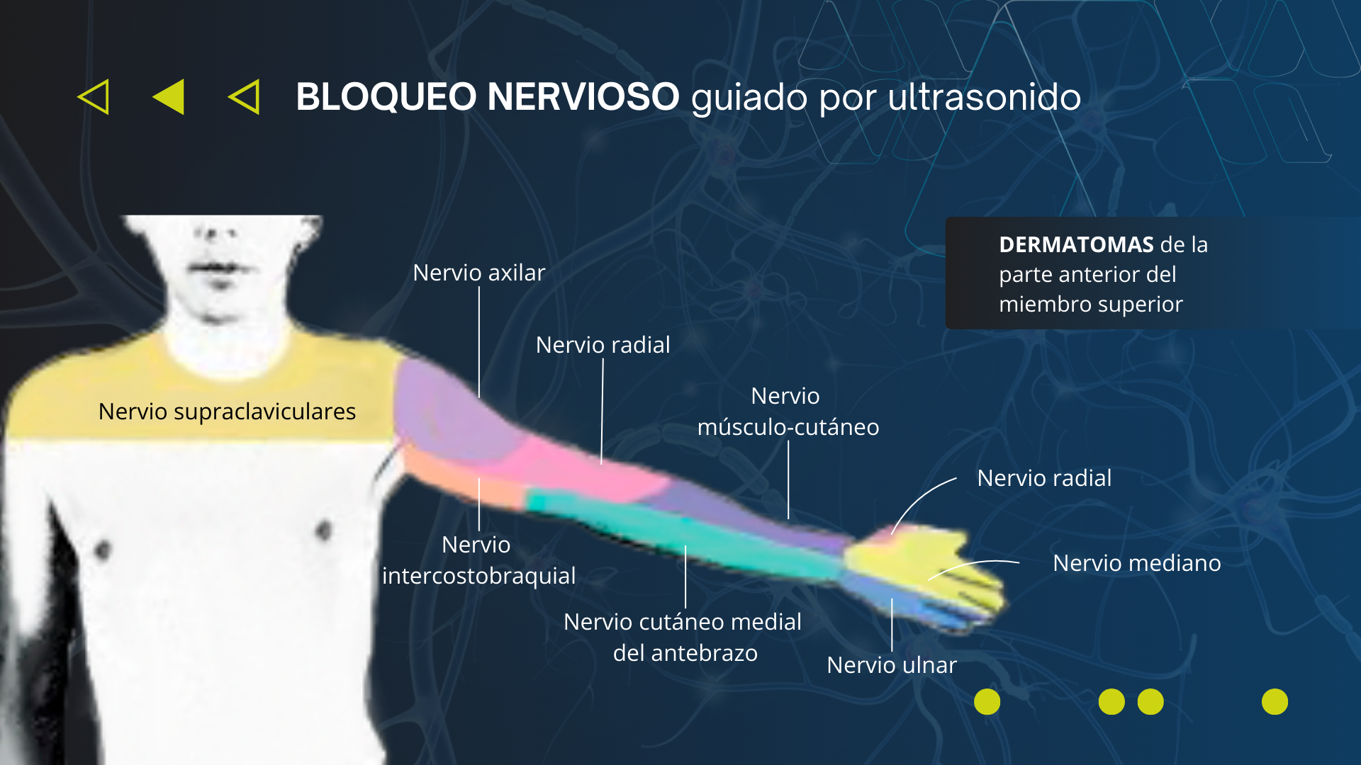 Optimice sus Procedimientos Quirúrgicos